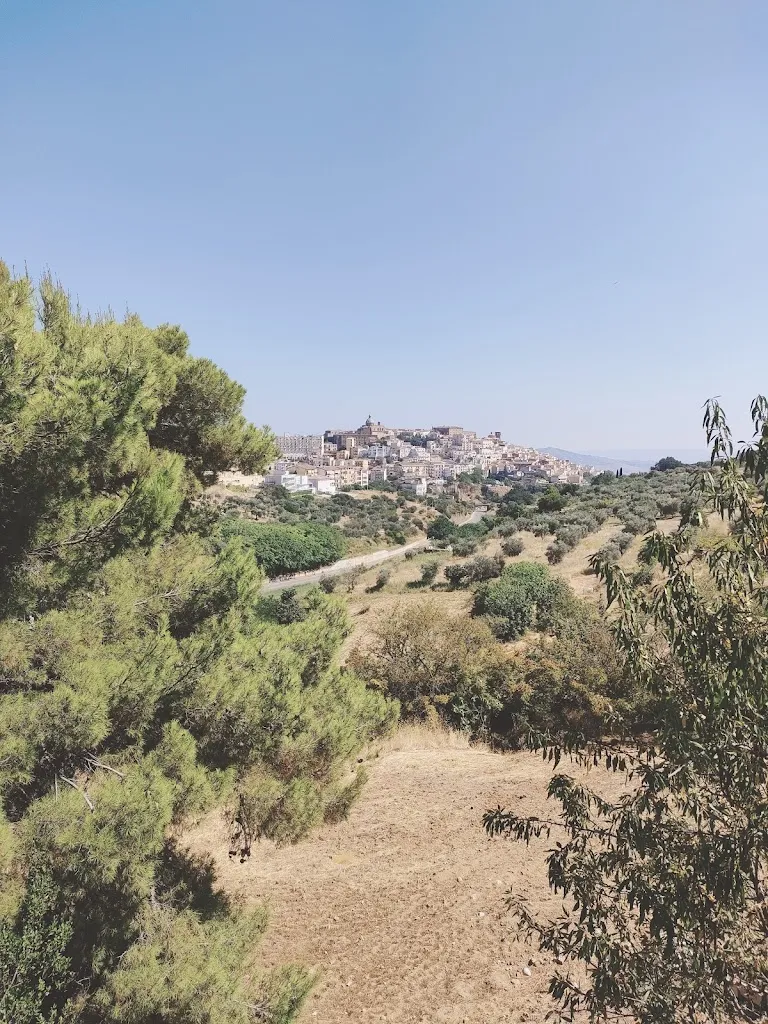 Antonella De Palo_Bellavista_Ferrandina_review