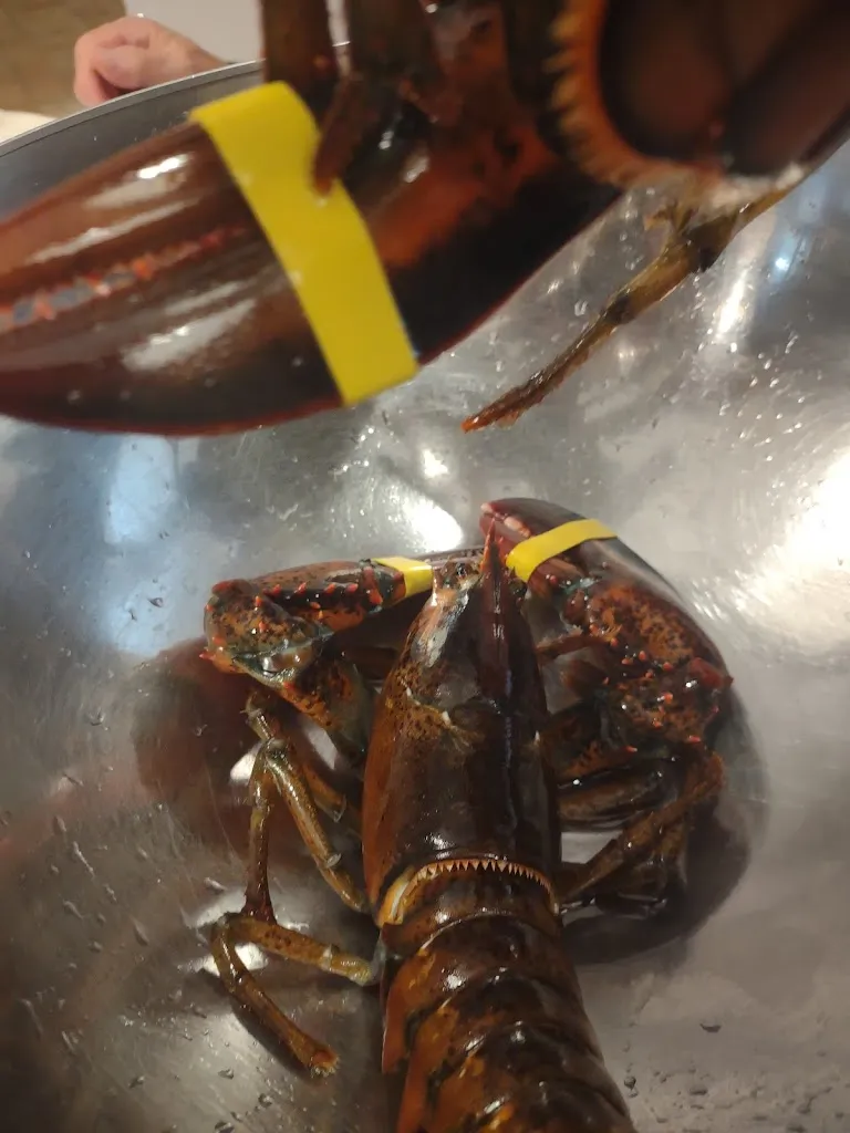 Menu_Ristorante da Andrea_Irsina_image_5