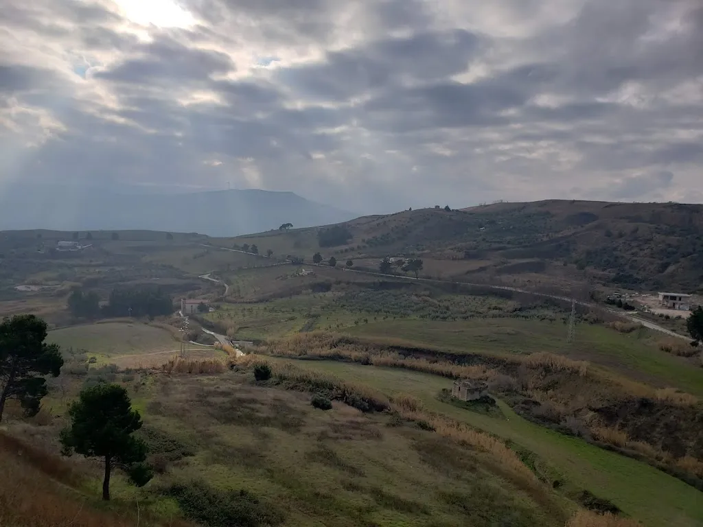 Soheil Shayegh_Irsina, MT_Irsina_review