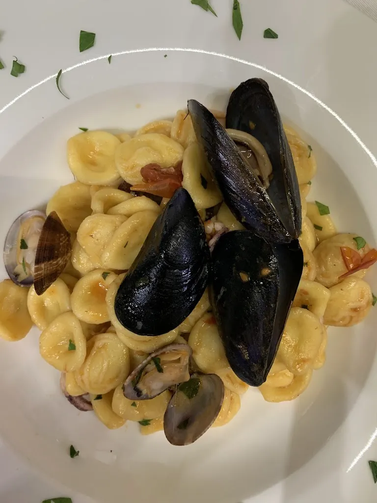 Vinay Chaudhri_La stradella_Lagonegro_review