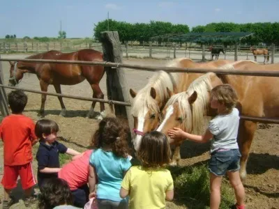 Agriturismo Valsirino_Lagonegro_slider_image_3