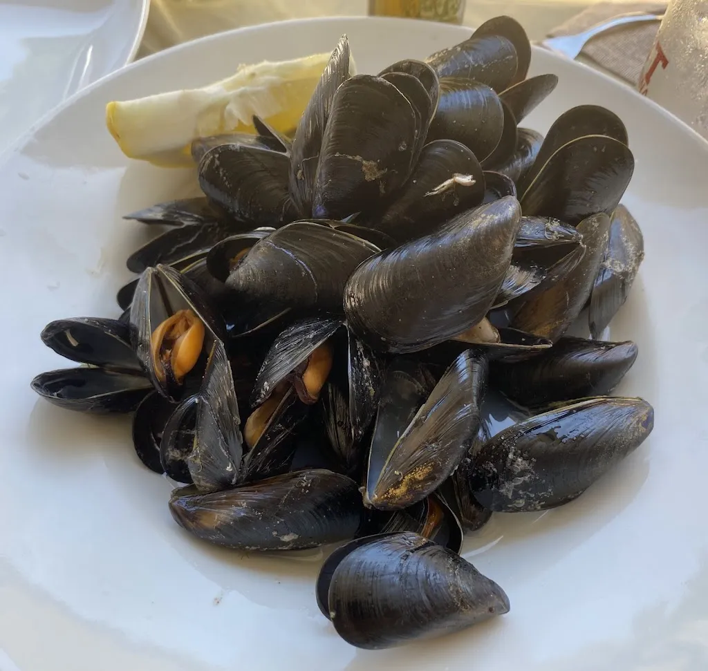 oOLucyInTheSkyOo_Divino Enoteca e Specialità Regionali_Maratea_review