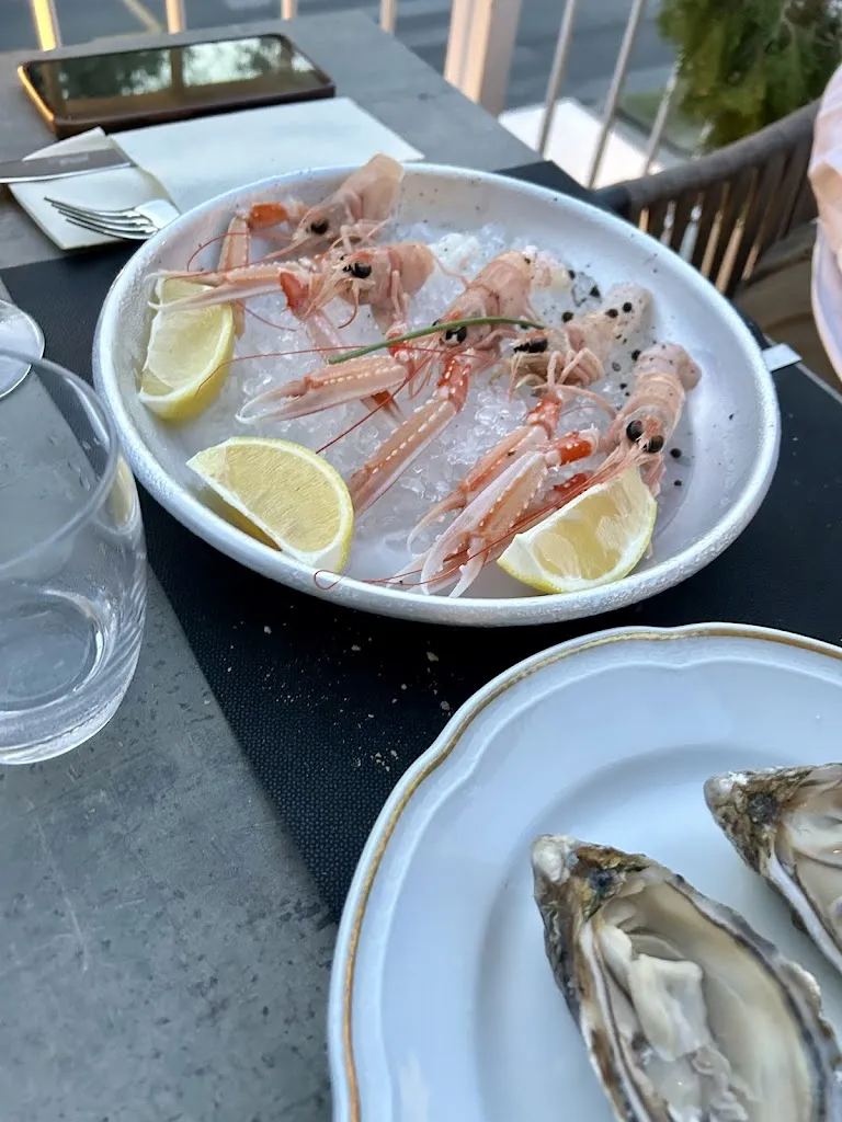 Menu_Terrazza M22_Lido_image_6