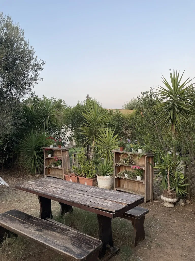 Ilenia Icolari_Alba Chiara_Marconia_review