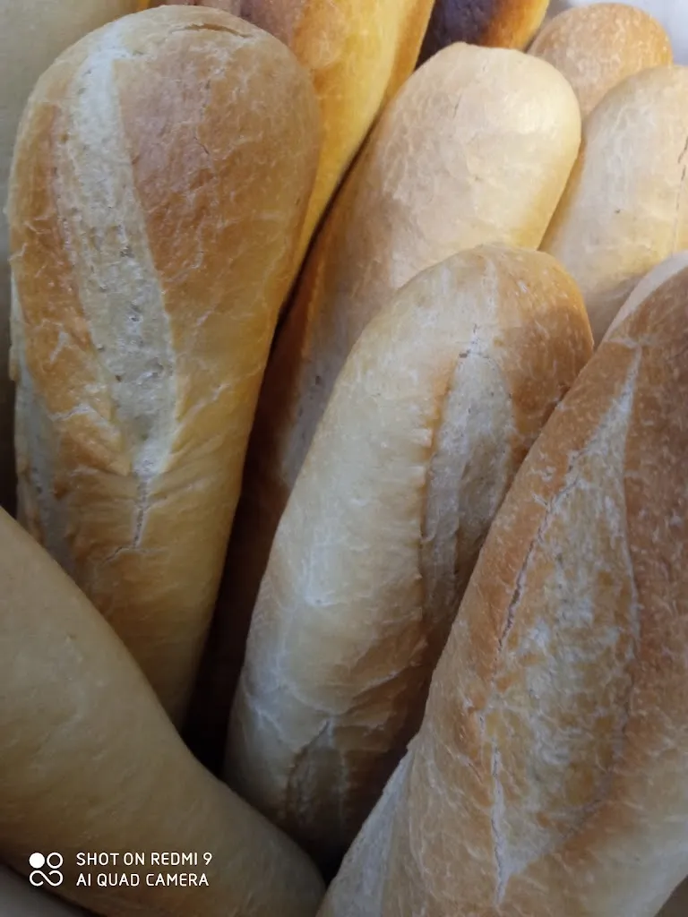 Menu_ALTEREGO Baguetteria Creperia Salsamenteria_Montalbano Jonico_image_9