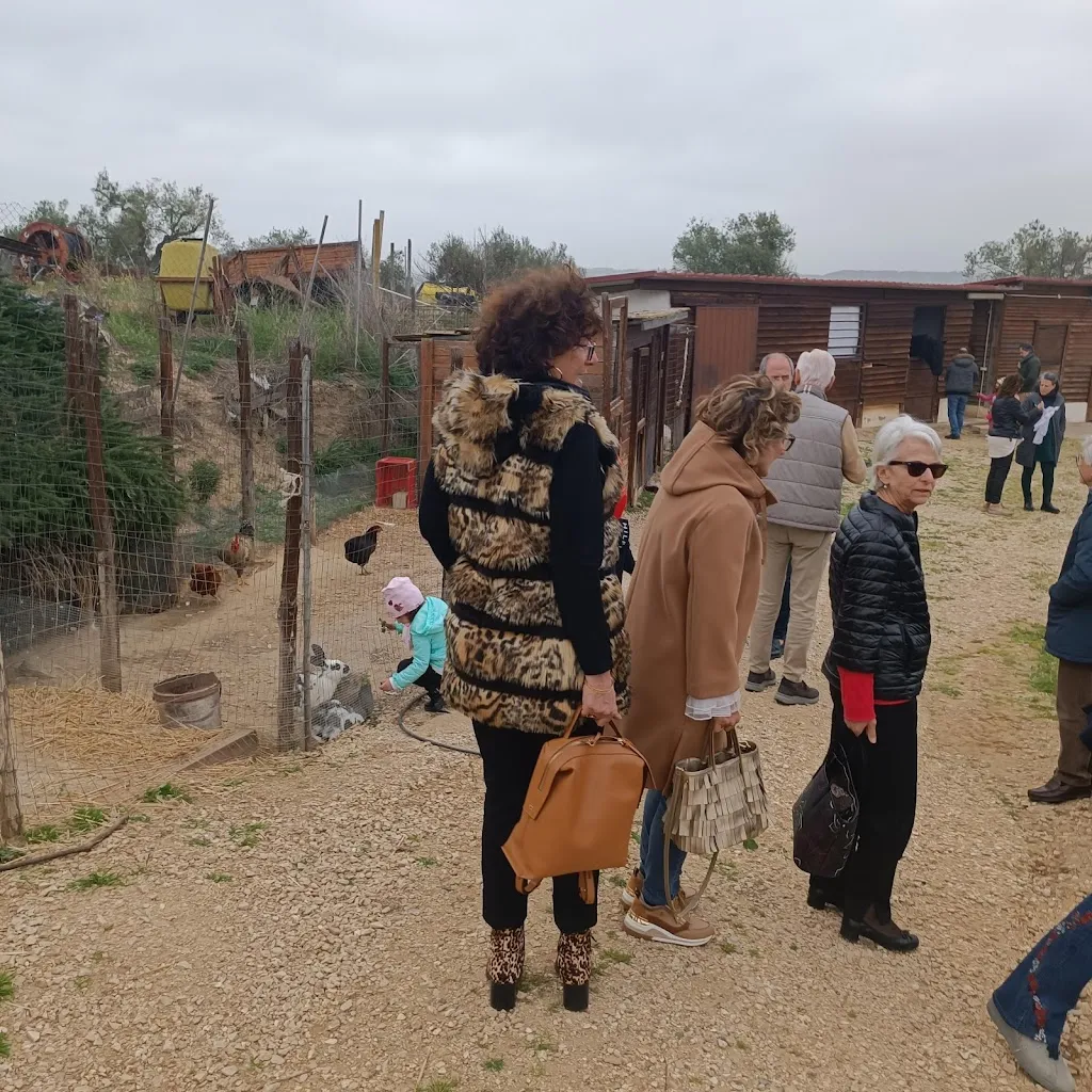 Ennio Rochira_Agriturismo Selvapiana_Montescaglioso_review