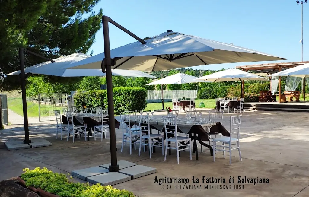 Agriturismo Selvapiana_Montescaglioso_slider_image_1