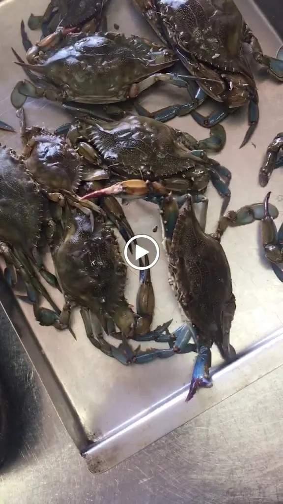 Dual Blu 2.0_Nova Siri_slider_image_2