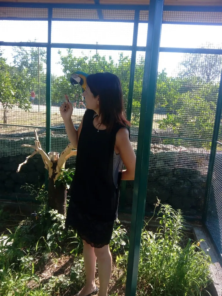 Clelia musica_Il Casale Etna_Paterno_review