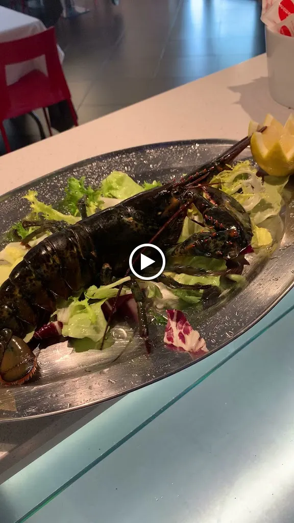 Red Restaurant_Policoro_slider_image_2