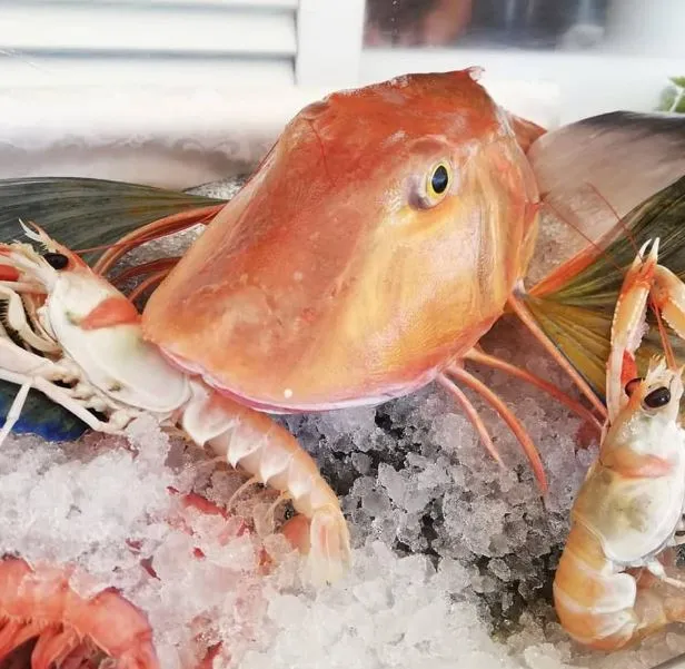 Hostaria Due Emme_Policoro_slider_image_3