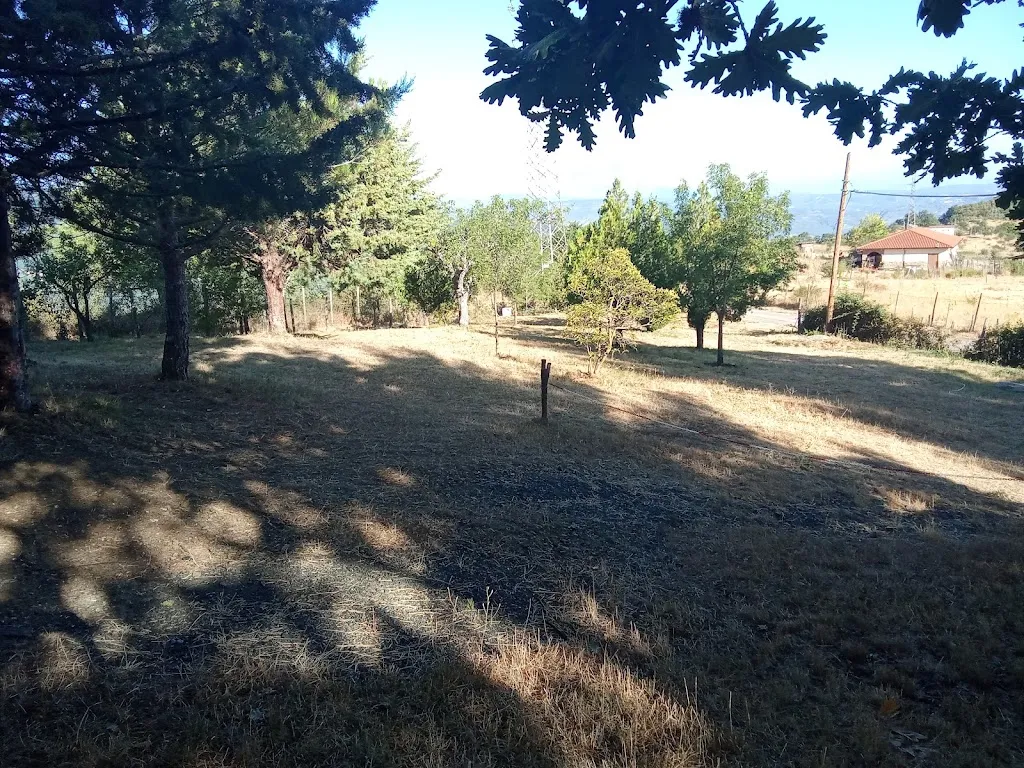 Vito Flavio Bellino_Agriturismo Piano Martorino - campeggio/ristorante/camere nel cuore del Parco Nazionale del Pollino_San Paolo Albanese_recensione