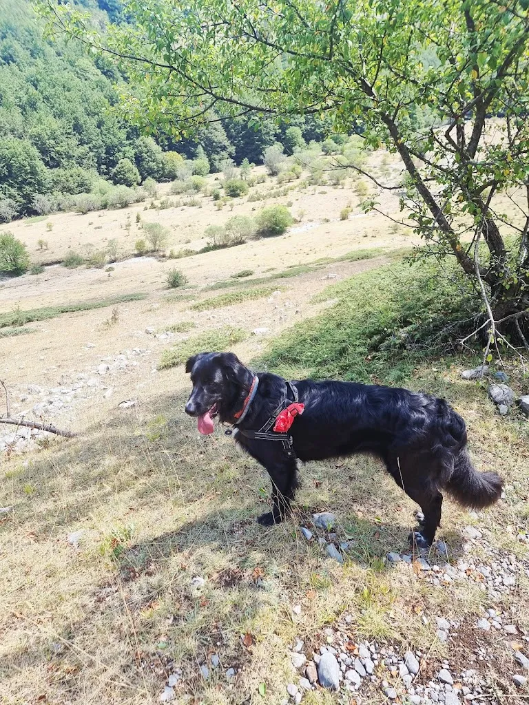 Silvana Suffiotti_Ristorante 