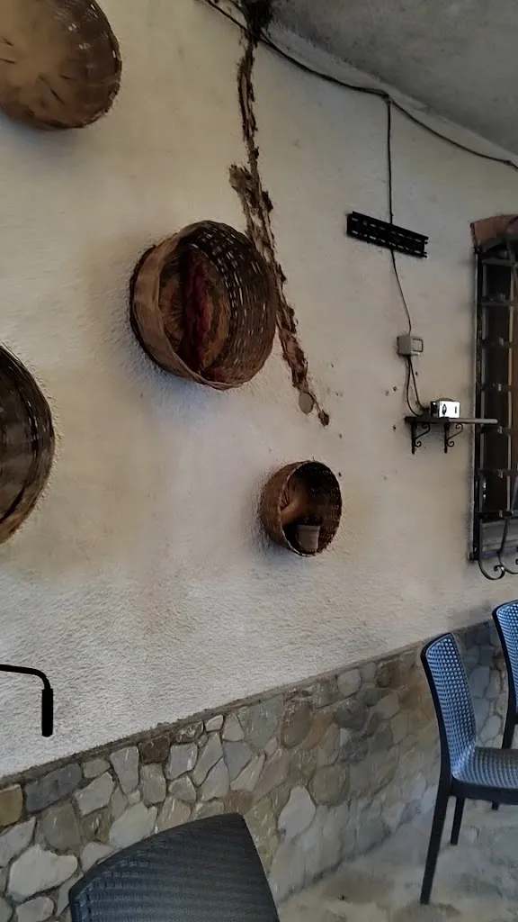 Calycanthus_Senise_slider_image_2