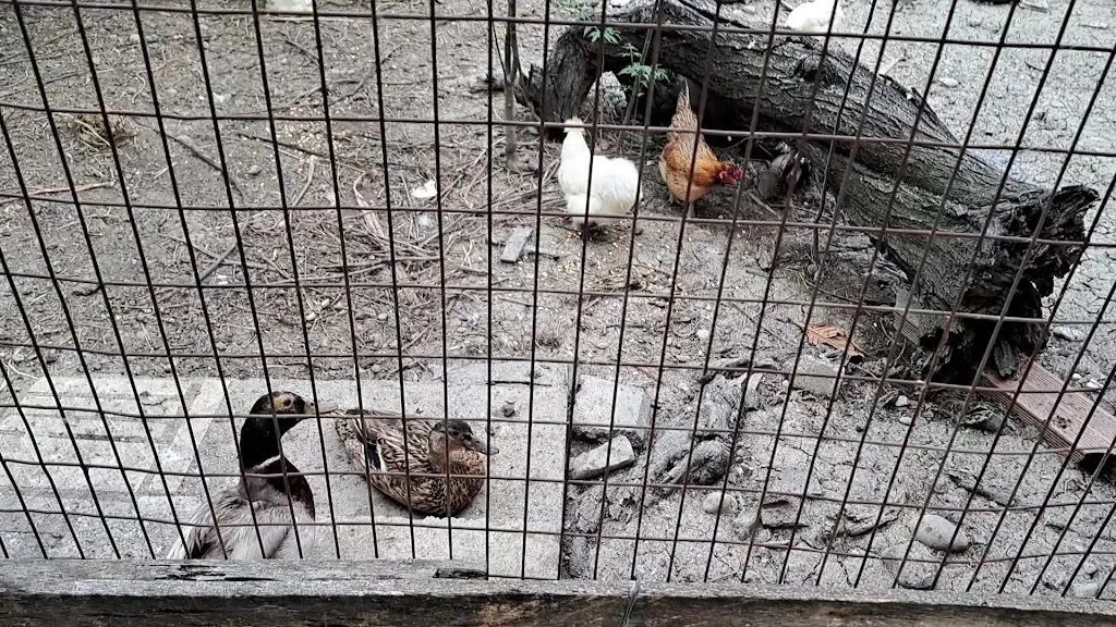 medo54113_PIANURA DELLE VIGNE_Scanzano Jonico_review