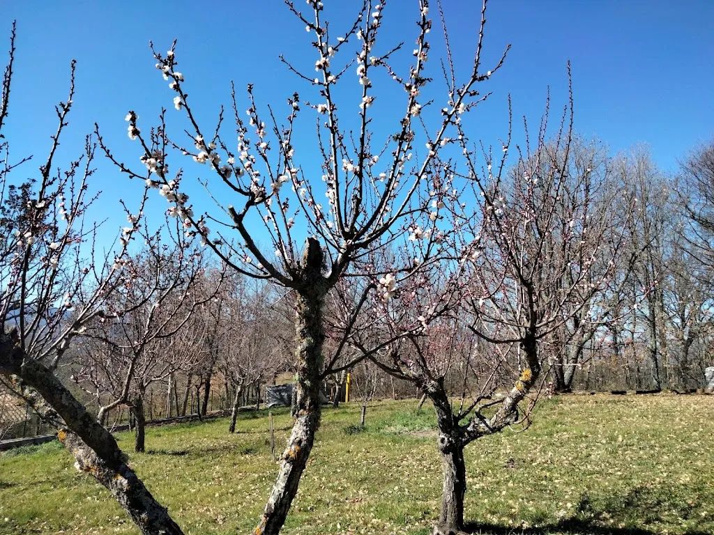 Bar - Ristorante - Pizzeria - Cocal Di Fronzaroli Fortunata_Spinoso_slider_image_2
