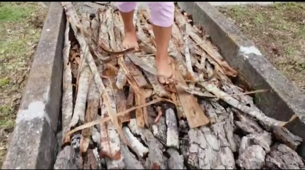 Menu_Parco dei Crisciuni_Valsinni_image_9