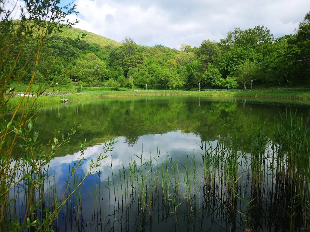 Johnny Hegarty_Parco dei Crisciuni_Valsinni_review