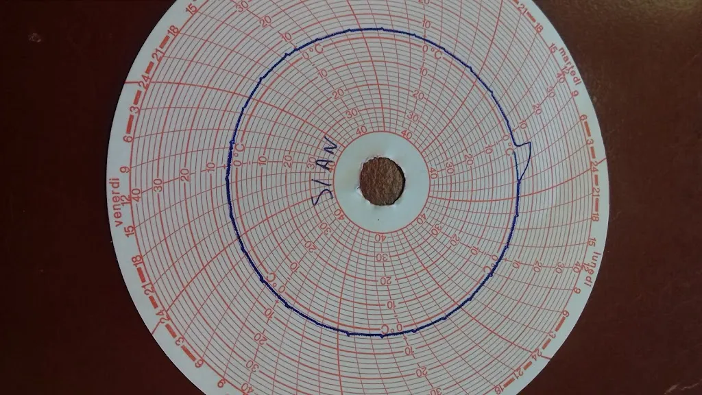 Pizzeria - Ristorante Mary White_Valsinni_slider_image_2