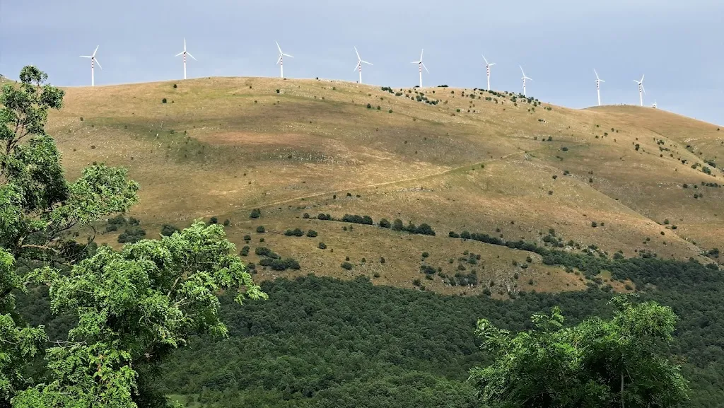 Carpe Diem Cafe' Snc_Cocullo_slider_image_3