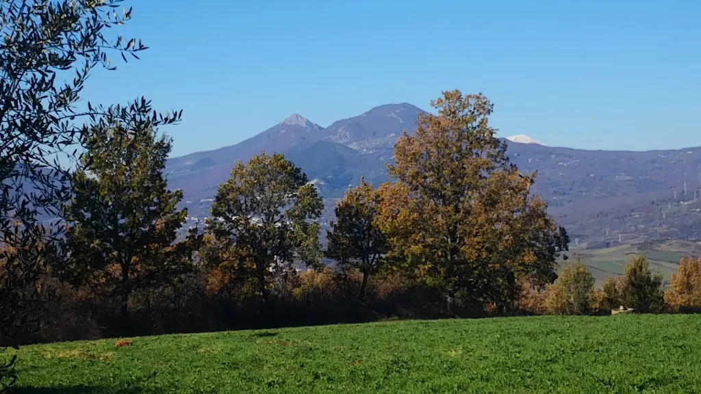 Masseria Campolerose a Viggianello nel PARCO NAZIONALE POLLINO - Prodotti TIPICI Lucani - CUCINA casalinga Lucana_Viggianello_slider_image_2