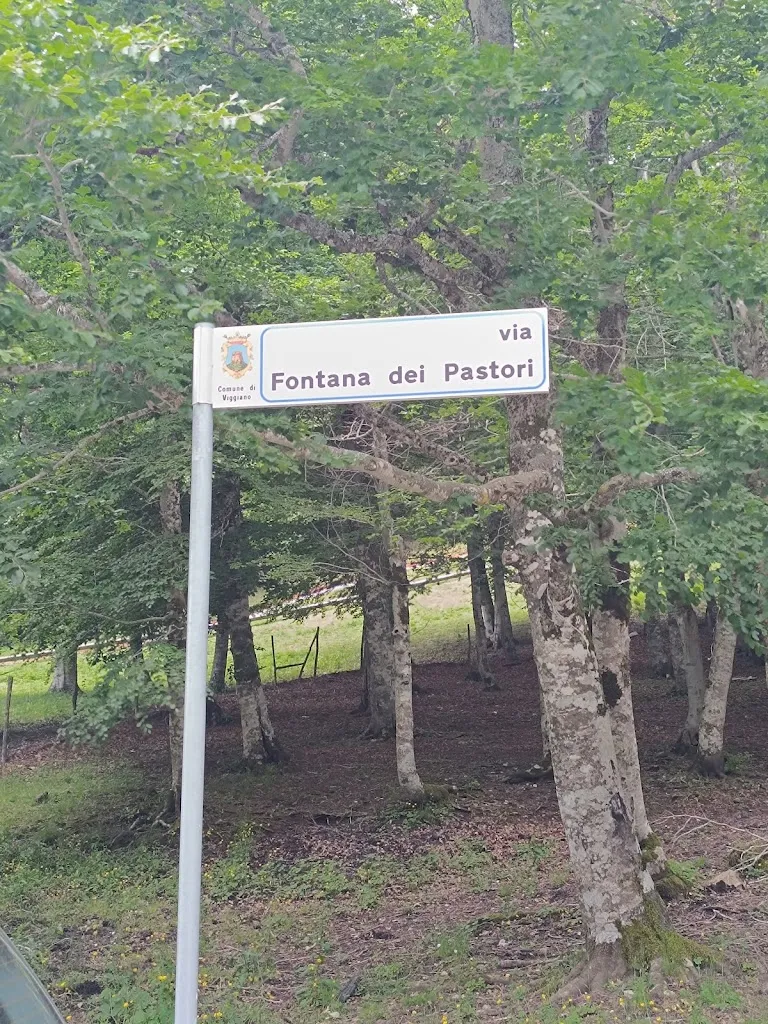 Mic Lav_La tana del lupo_Viggiano_review