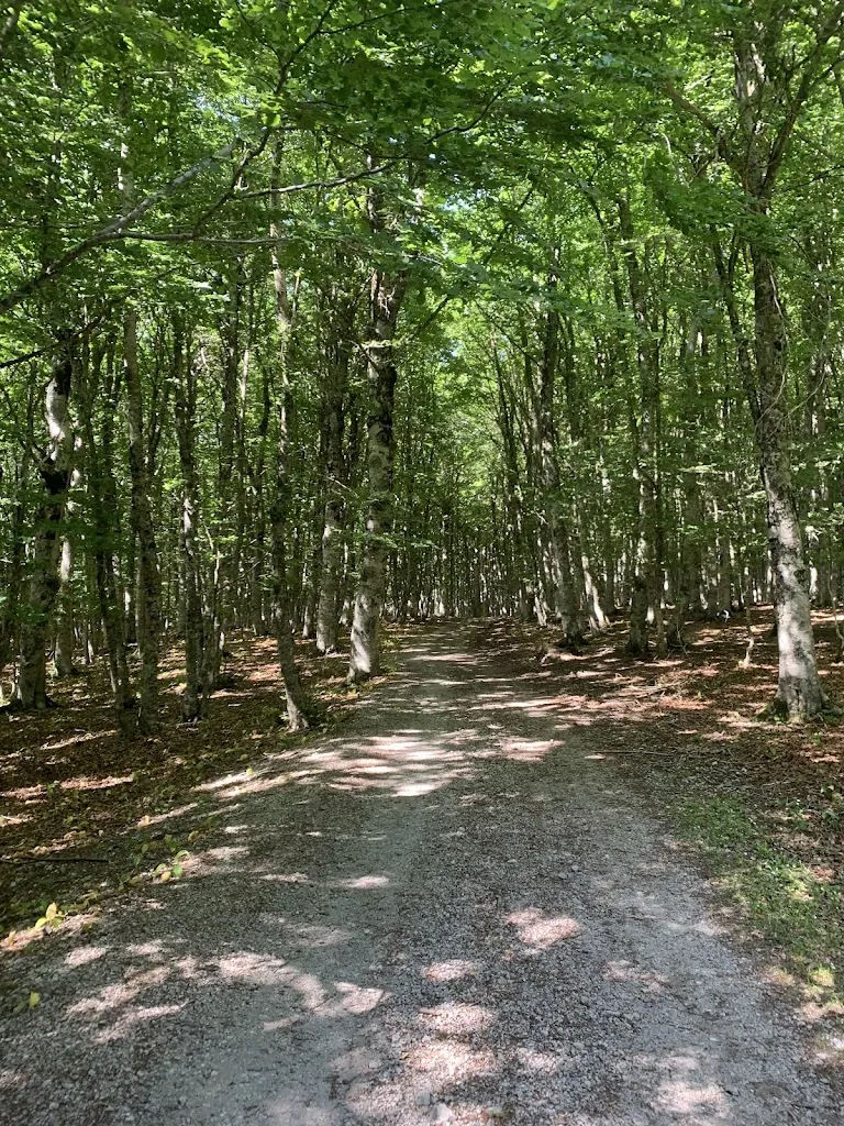 Roberto S_La tana del lupo_Viggiano_review