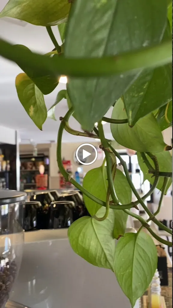 Caffè Colacicchi_Civitella Roveto_slider_image_2