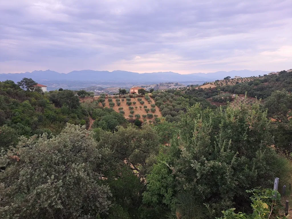 Ing S_Ristorante La Veranda_Acri_review