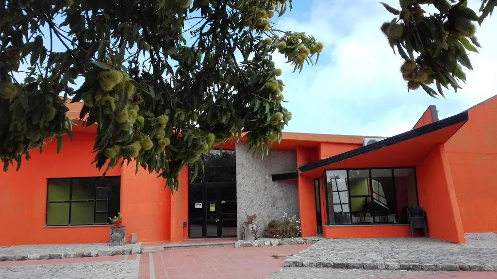 Parco Crista - Ristorante Pizzeria Avangarde_Acri_slider_image_3