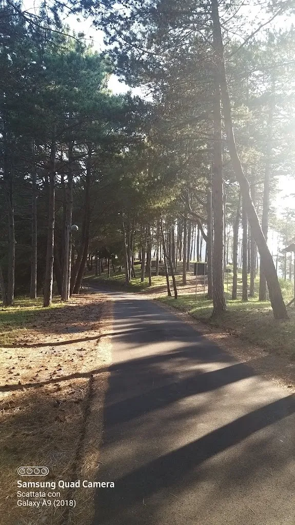 Maria Mastrelia_Arrusti & Mangia Camping_Aieta_review