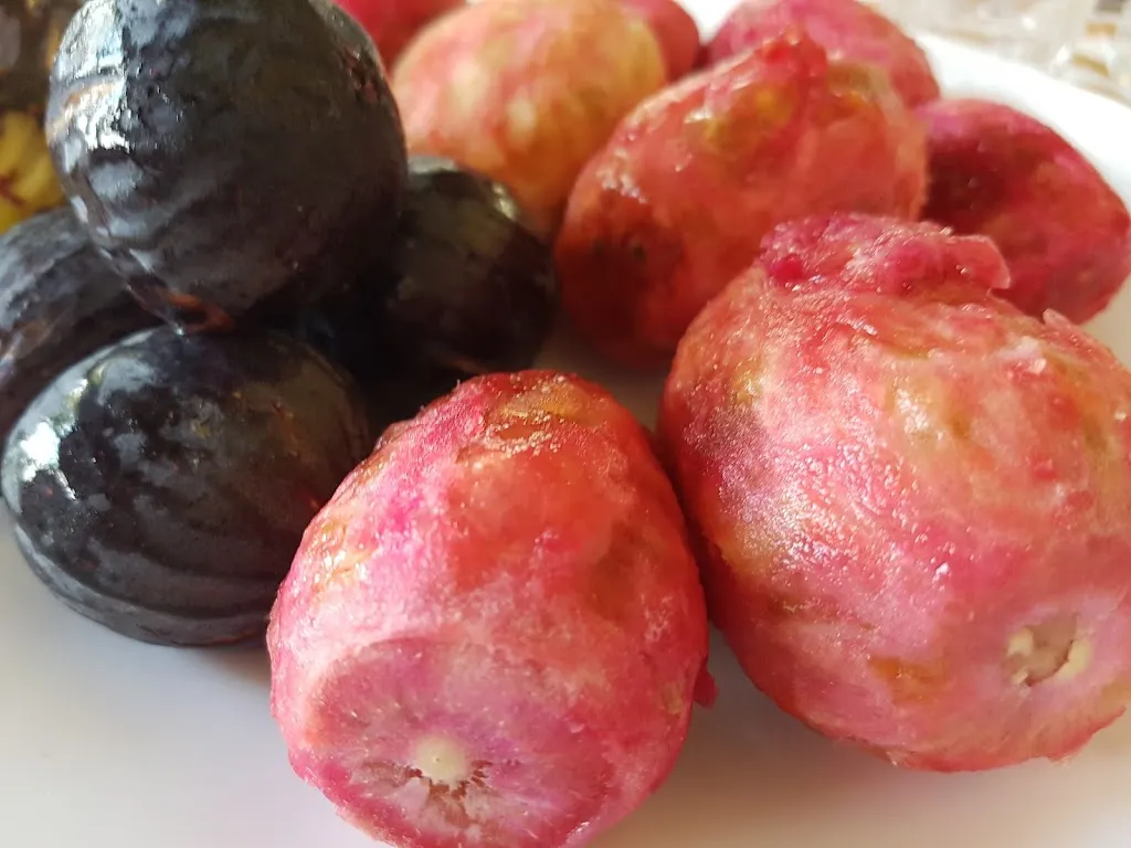 Menu_Agriturismo Ritorto_Agnana Calabra_immagine_4