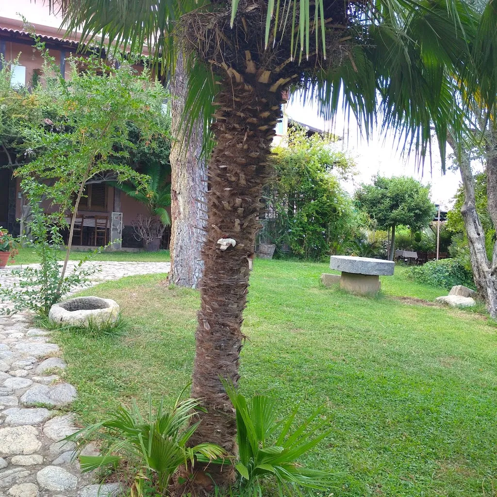 Patricia D'Agostino_Agriturismo Ritorto_Agnana Calabra_recensione