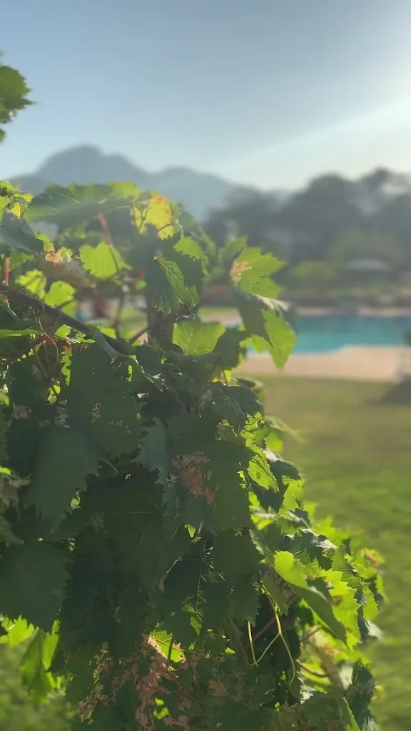 Barone G. R. Macrì_Agnana Calabra_slider_image_1