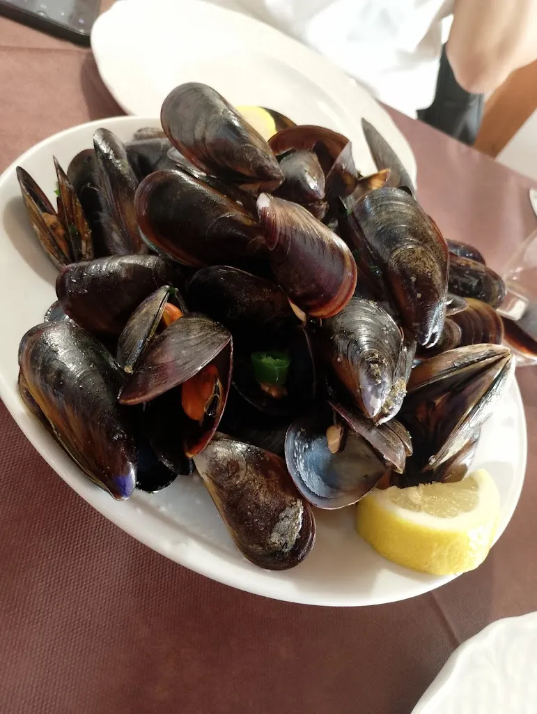 Menu_Trattoria Pizzeria 