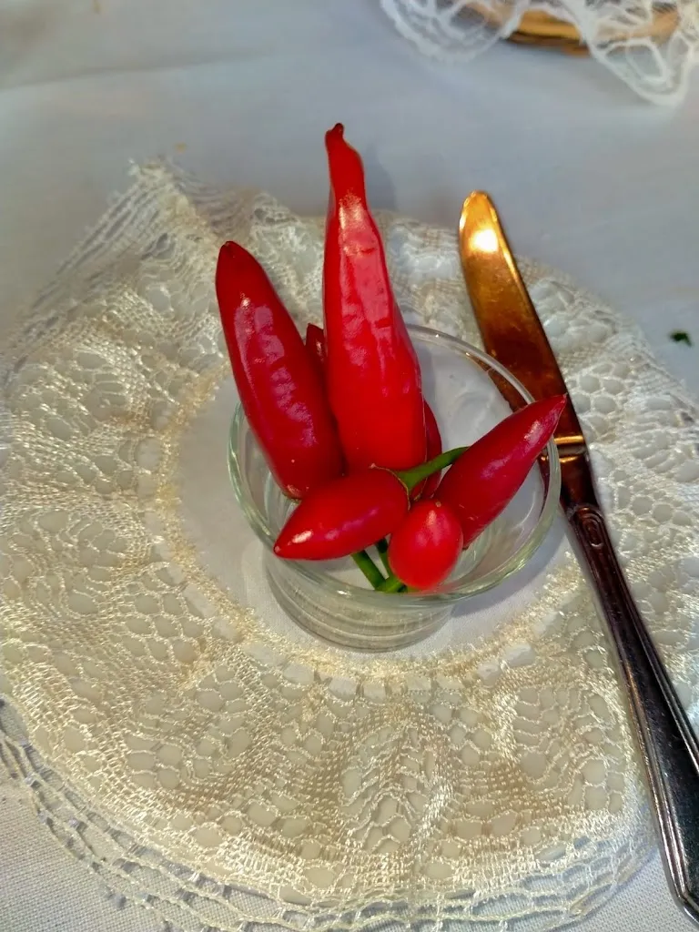 Menu_Ristorante @ Agriturismo Bardari_Acconia_immagine_8