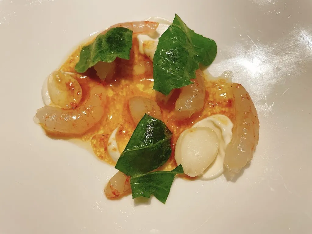 Bing Yu_Abbruzzino_Acconia_review