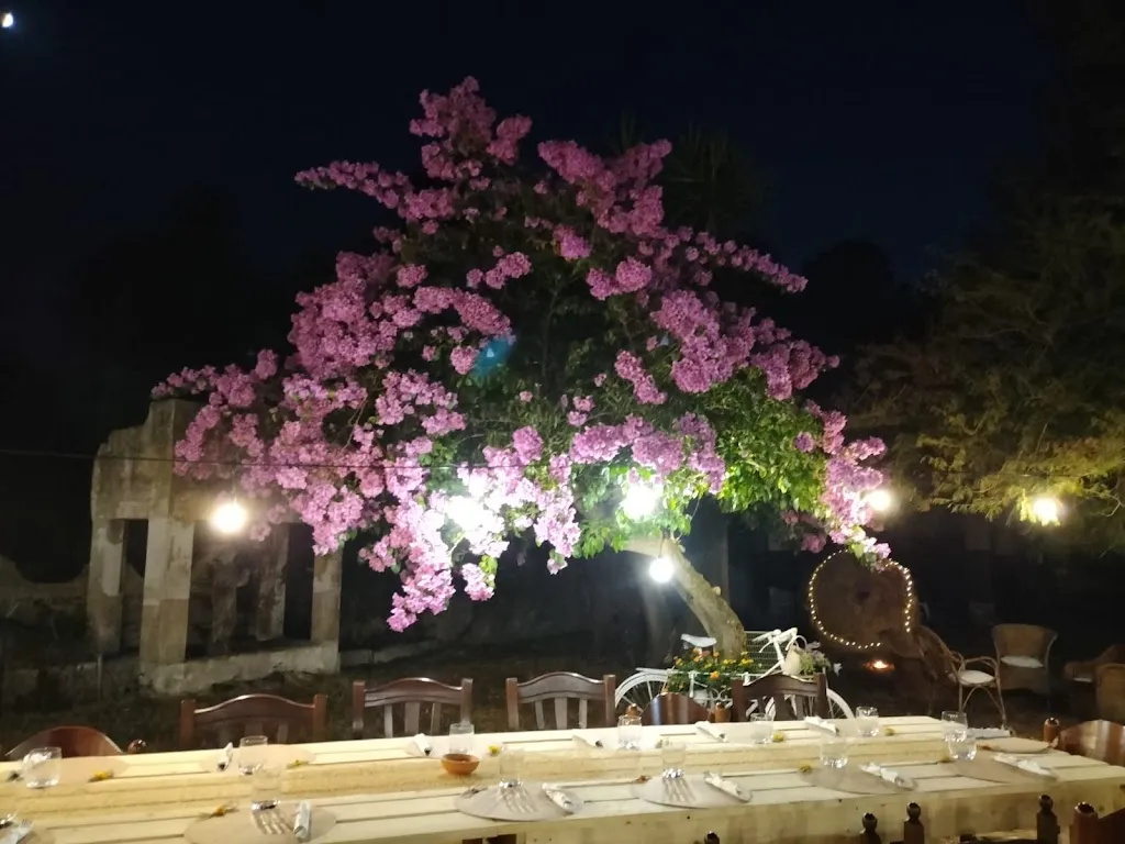 Home Restaurant Zia Tetè_Acconia_slider_image_3