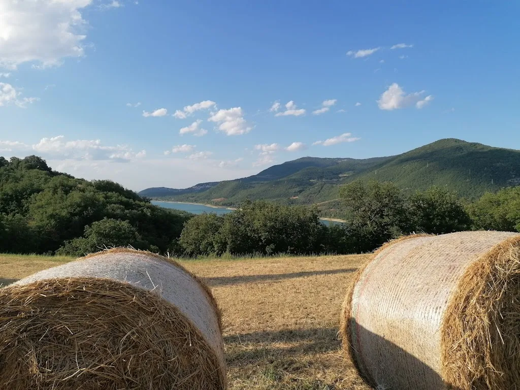 Valeria Verlengia_Agriturismo Le Pagliere da Valentino_Colledimezzo_review