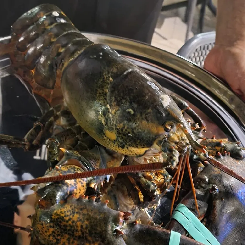 Twist bistrò_Acconia_slider_image_3