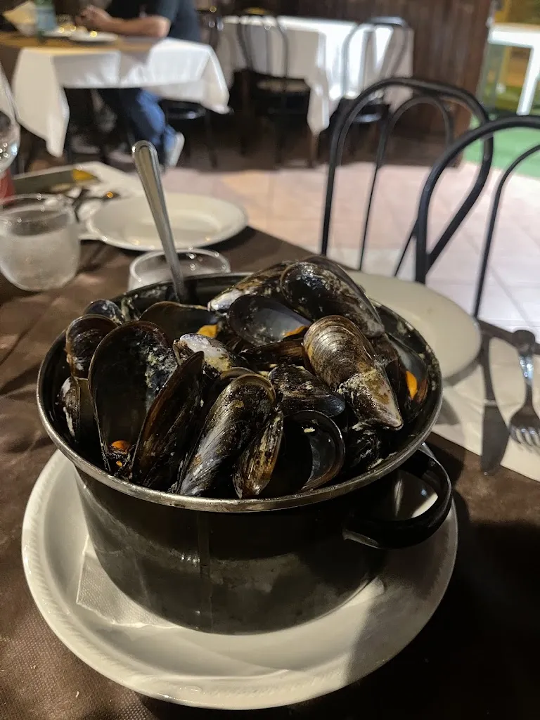 Michal Stolarewicz_Itaca_Acconia_review