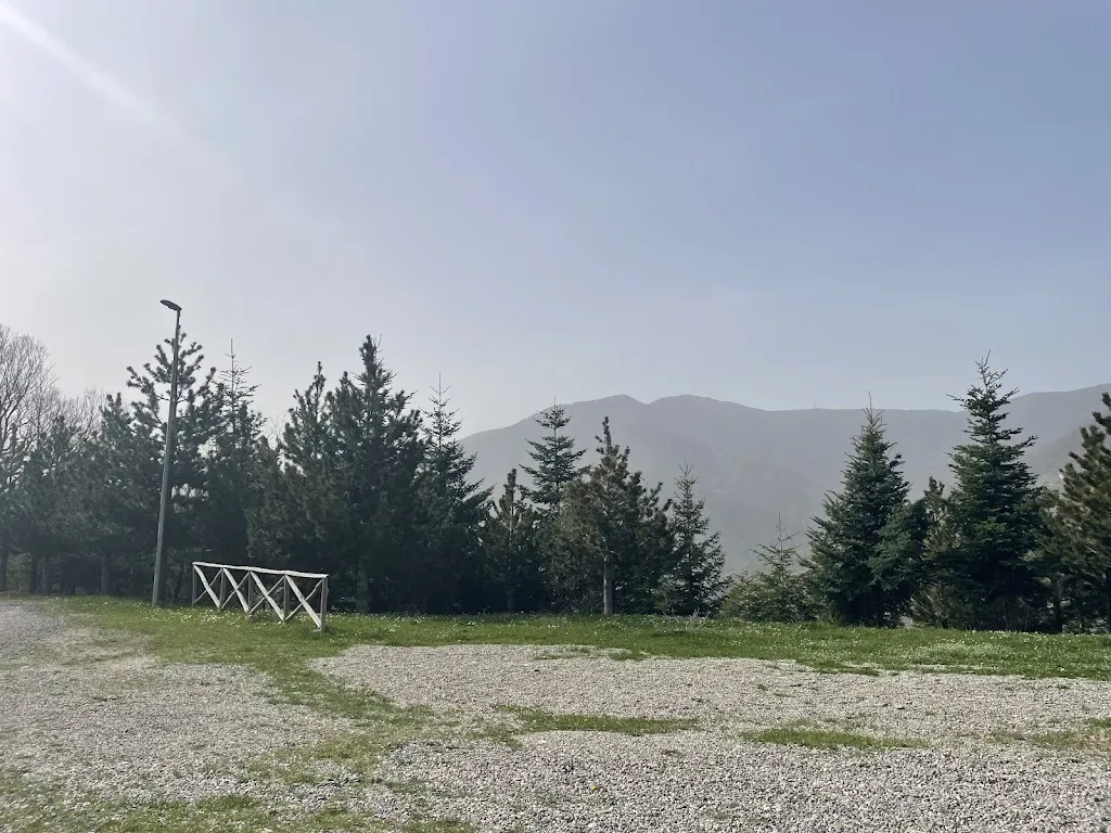 Margaret Bere_Comune di Alessandria del Carretto_Alessandria del Carretto_review