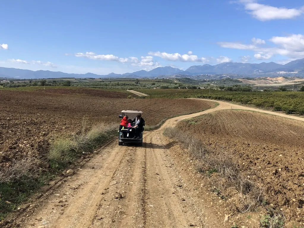 Strada Per Castello Serra Giumenta_Altomonte_slider_image_3