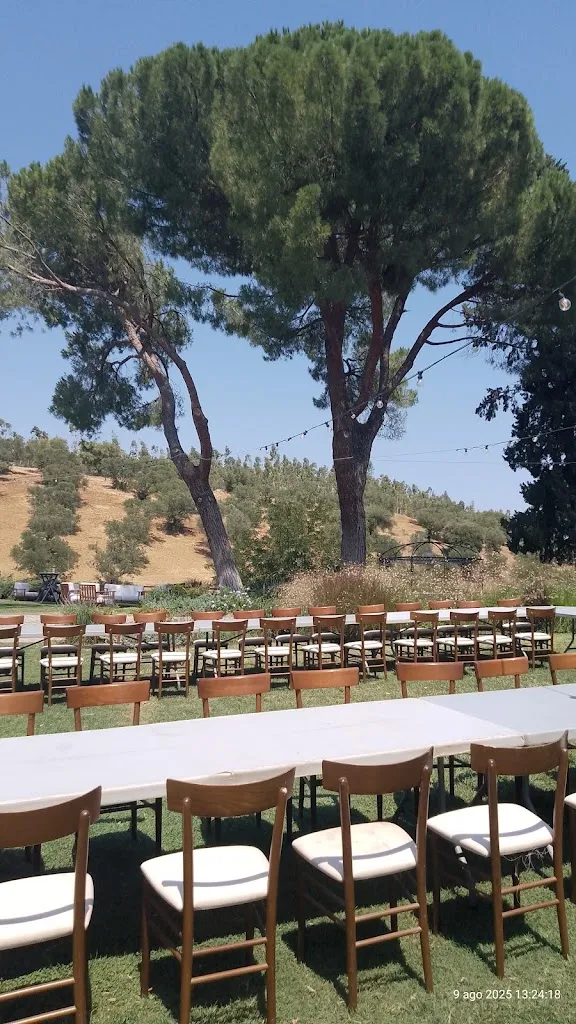 La Voliera Di Serragiumenta_Altomonte_slider_image_3