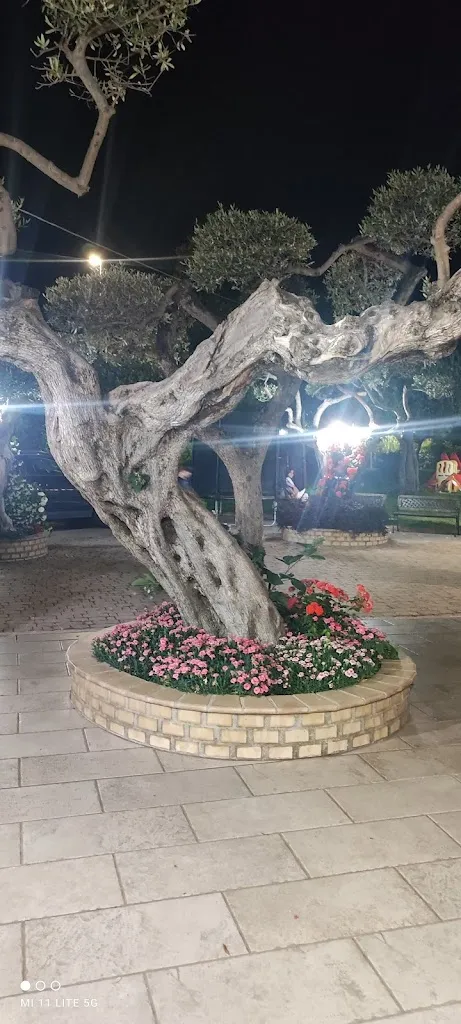 Nicola Cipollari_Country House la Fattoria_Collecorvino_review