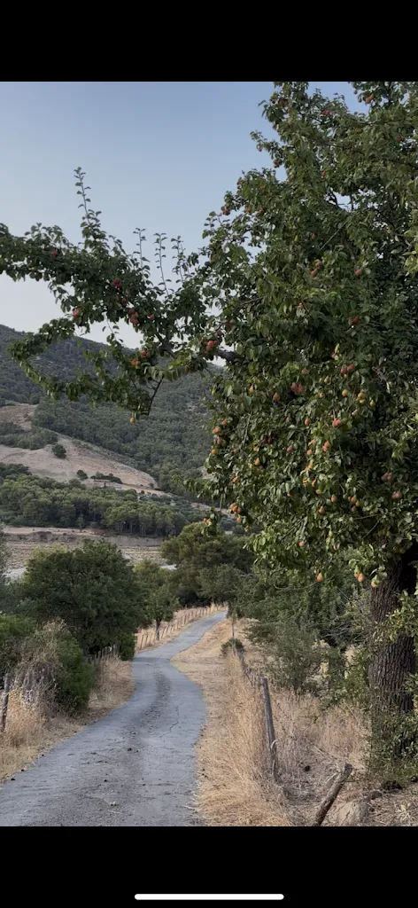 Deborah Marino_Agriturismo Masseria Farina_Amendolara_review