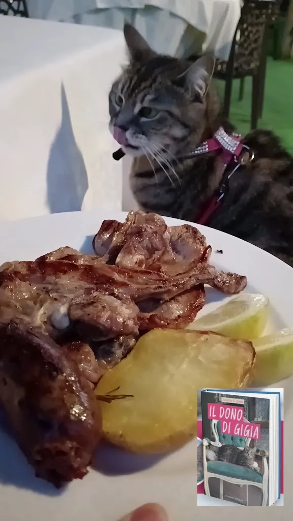 Gigia TravelCat_Ristorante Biroccio_Collecorvino_review