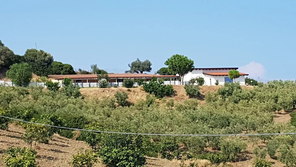 AGRITURISMO IL FICHETO restaurant in Amendolara