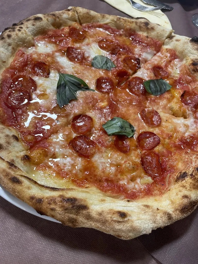 Caterina Maria Elisabeth Zappia_Bella Elena_Andreotta_review