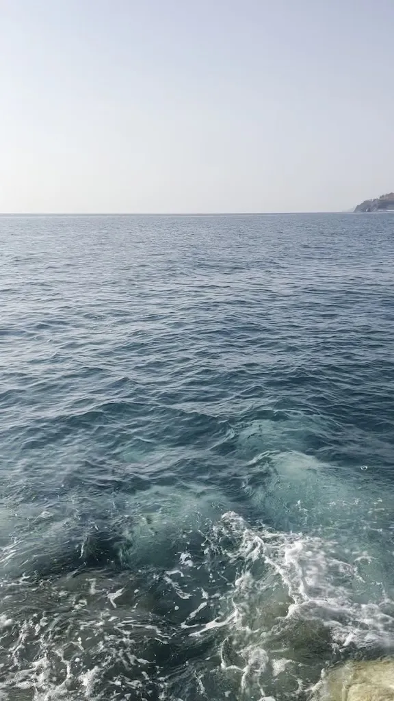 Eric Veroliemeulen_Hippocampus_Andreotta_review